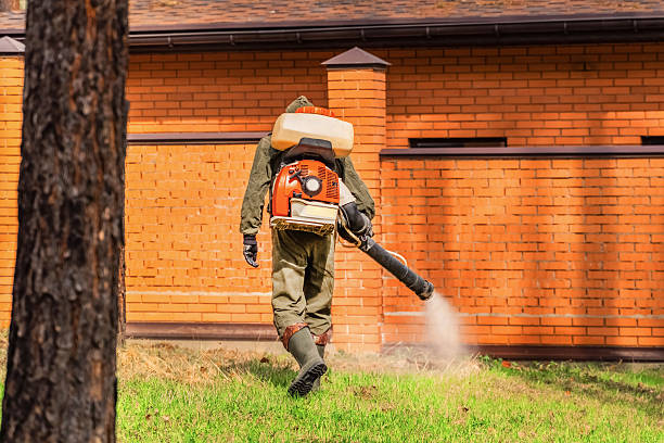 Trusted Mosquito Control service in Apple Valley, MN - Nex Pest Control